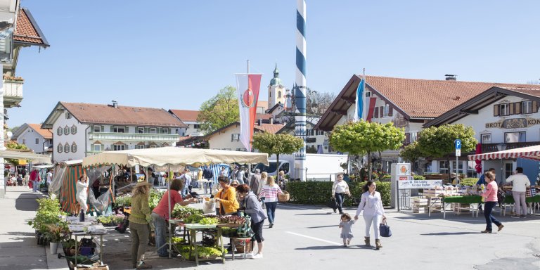 Wochenmarkt MB Kachel 1600x800
