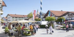 Wochenmarkt MB Kachel 1600x800