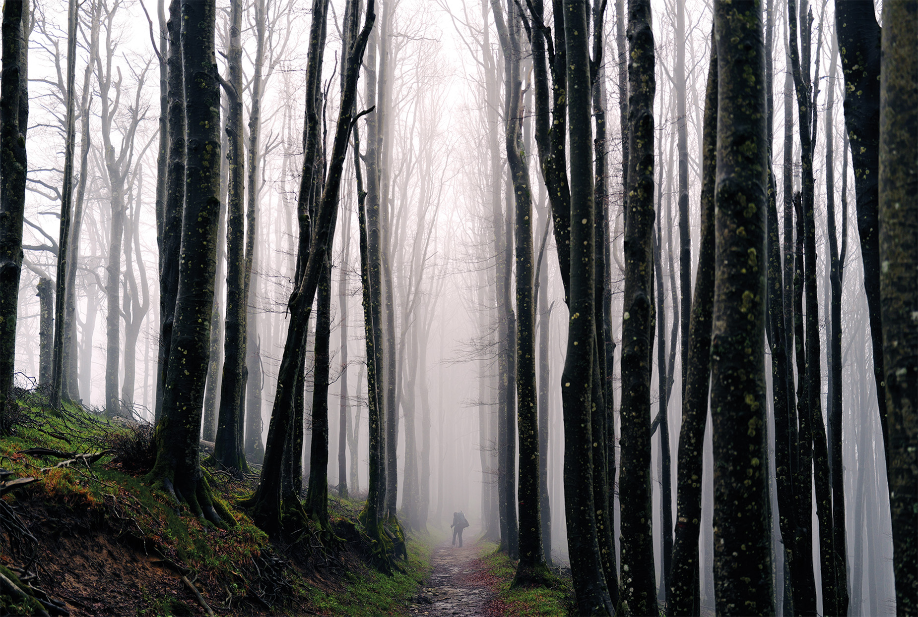 Rosenboom-Freudenberg